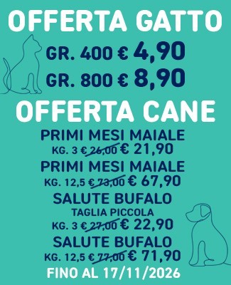 Offerte 